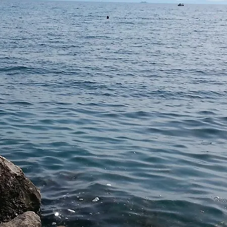 Dalmacija * Podstrana